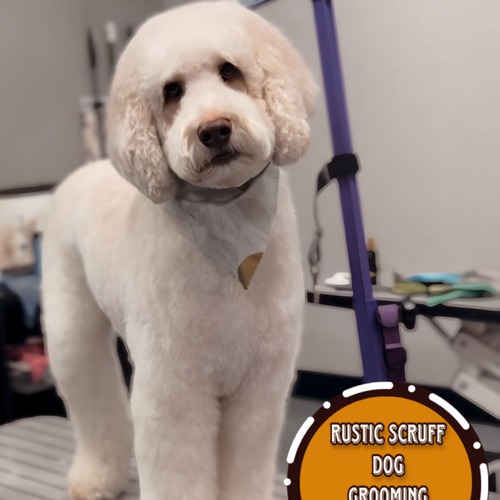 Grooming work 31