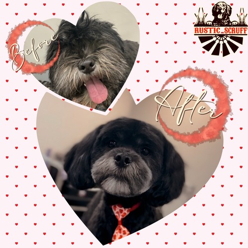 Grooming work 9