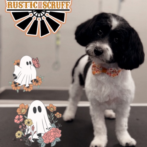 Grooming work 39