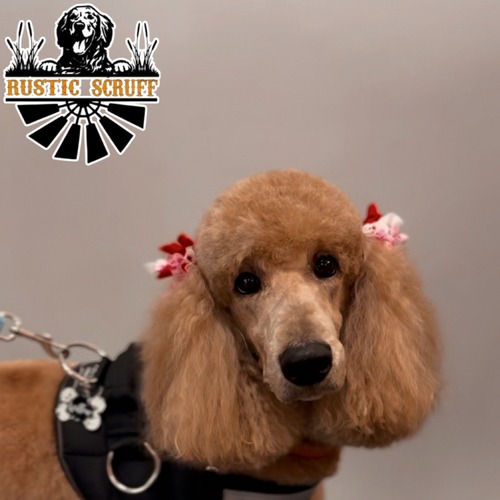 Grooming work 33