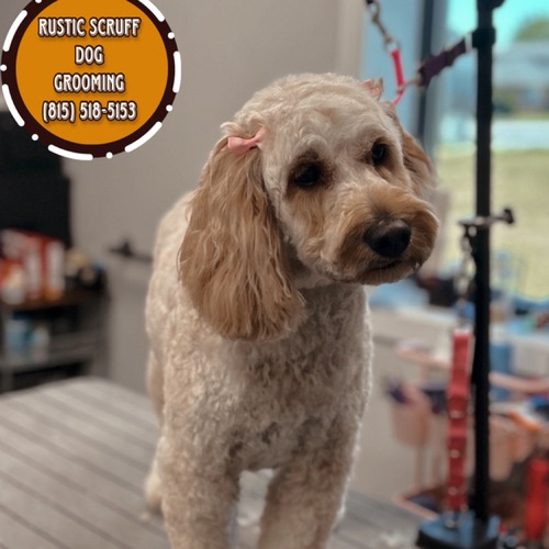 Grooming work 14