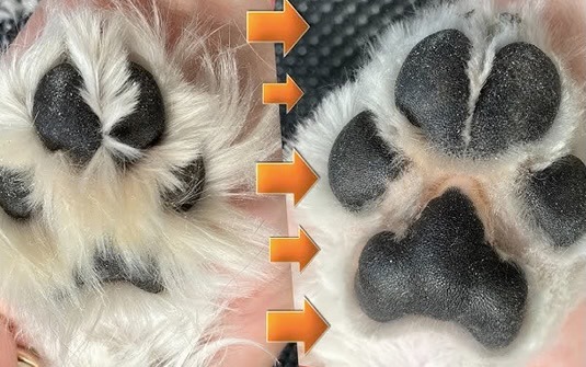 Grooming work 37