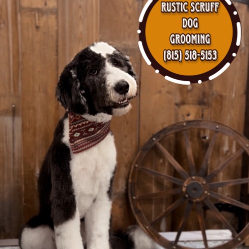 Grooming work 27