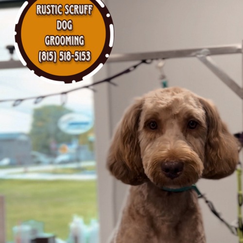 Grooming work 18