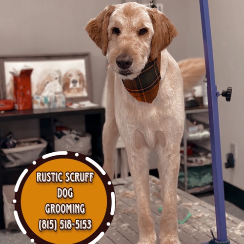 Grooming work 23