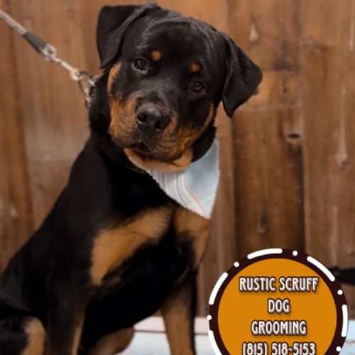 Grooming work 25