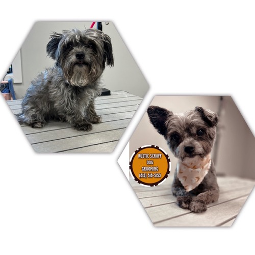 Grooming work 20