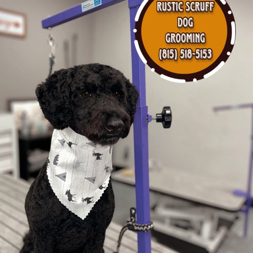 Grooming work 26