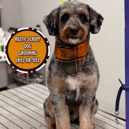 Grooming work 30