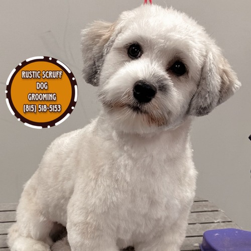 Grooming work 12
