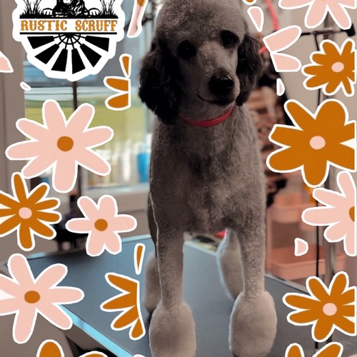 Grooming work 42