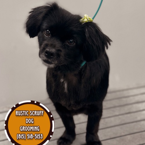 Grooming work 34