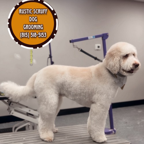 Grooming work 8